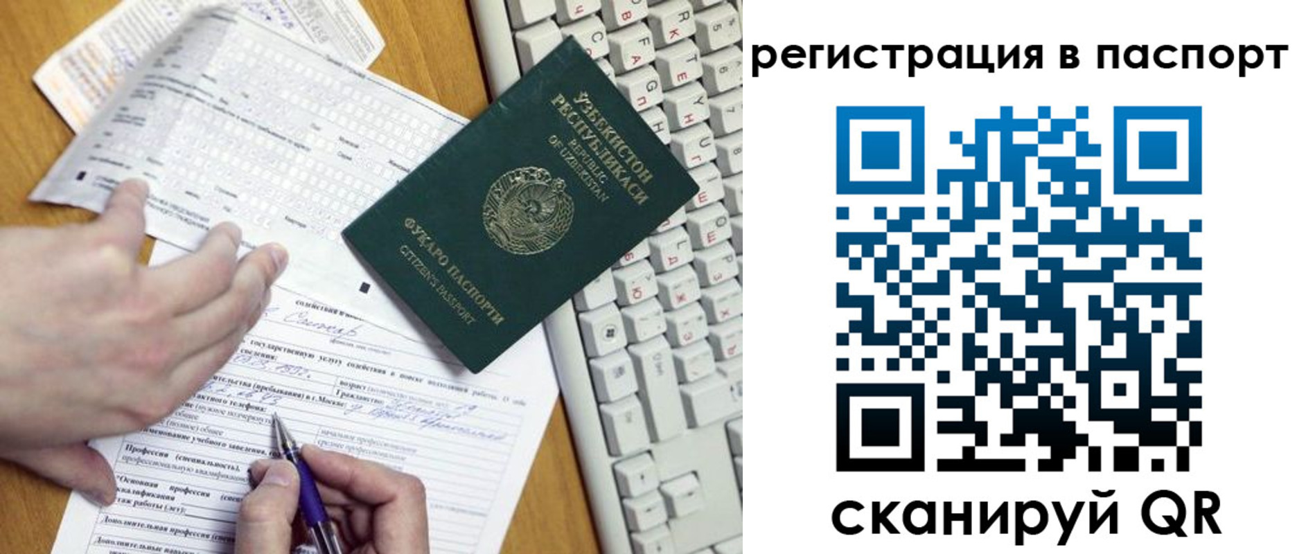 прописка поиск в Ельне